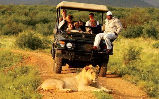 7 Days Luxury Safari in Uganda