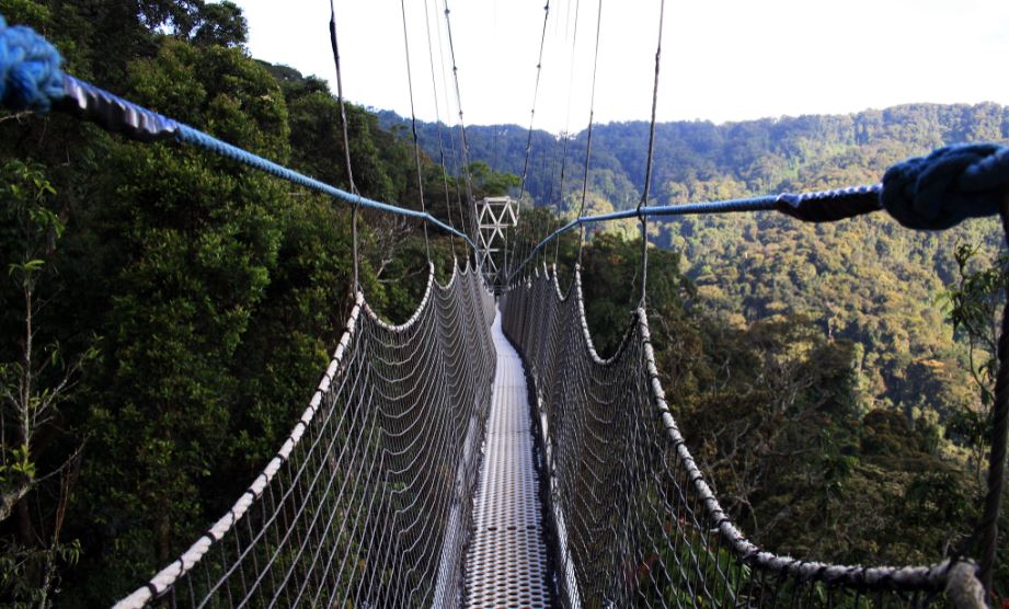 Packing List For Nyungwe National Park