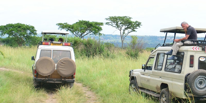 Top Activities in Akagera National Park