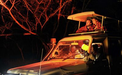 Night Game Drives in Akagera National Park 