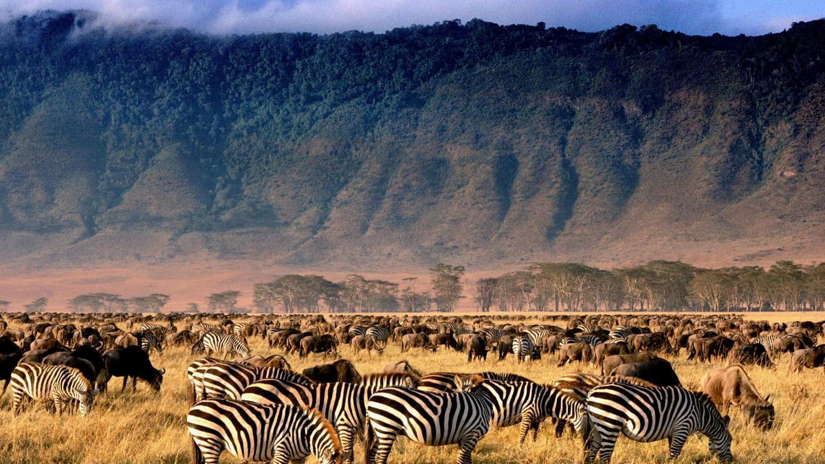 15 Days Tanzania and Uganda Wildlife & Primates Safari