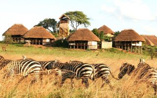 What to do in Kidepo Valley National Park