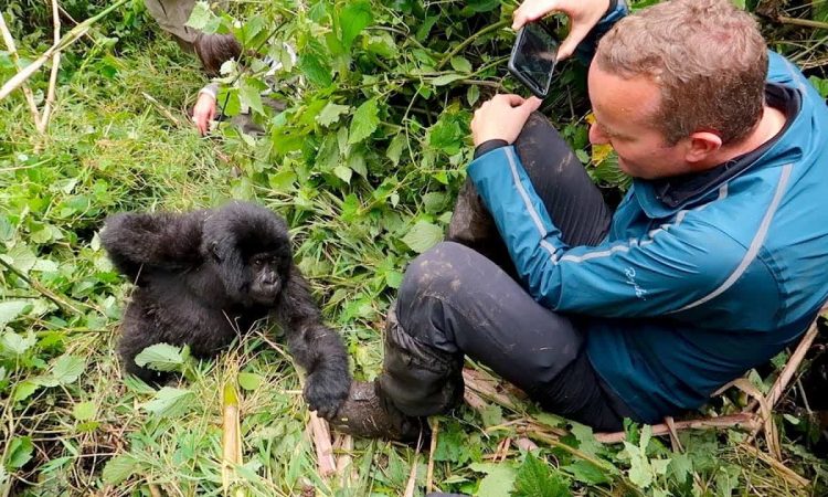 Essentials for Gorilla Trekking