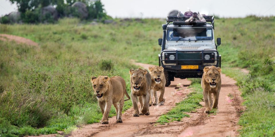 safari in uganda in may