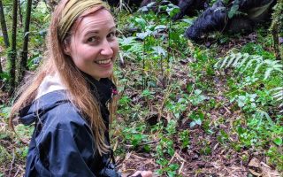 Advantages Of Tracking A Gorilla Family Alone